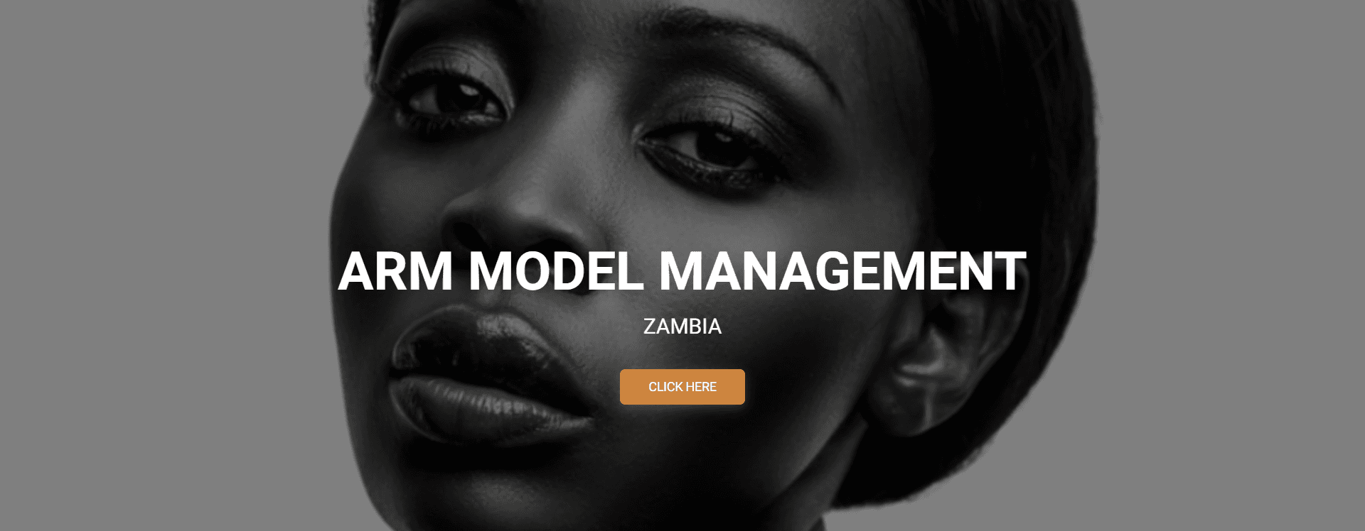 Arm Model Website